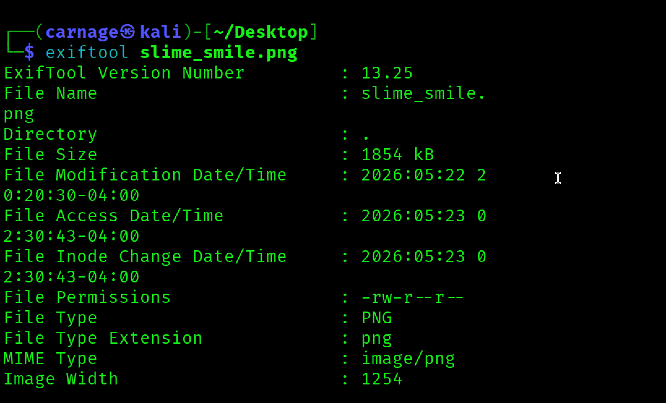 Figure 1: Metadata inspection using exiftool.