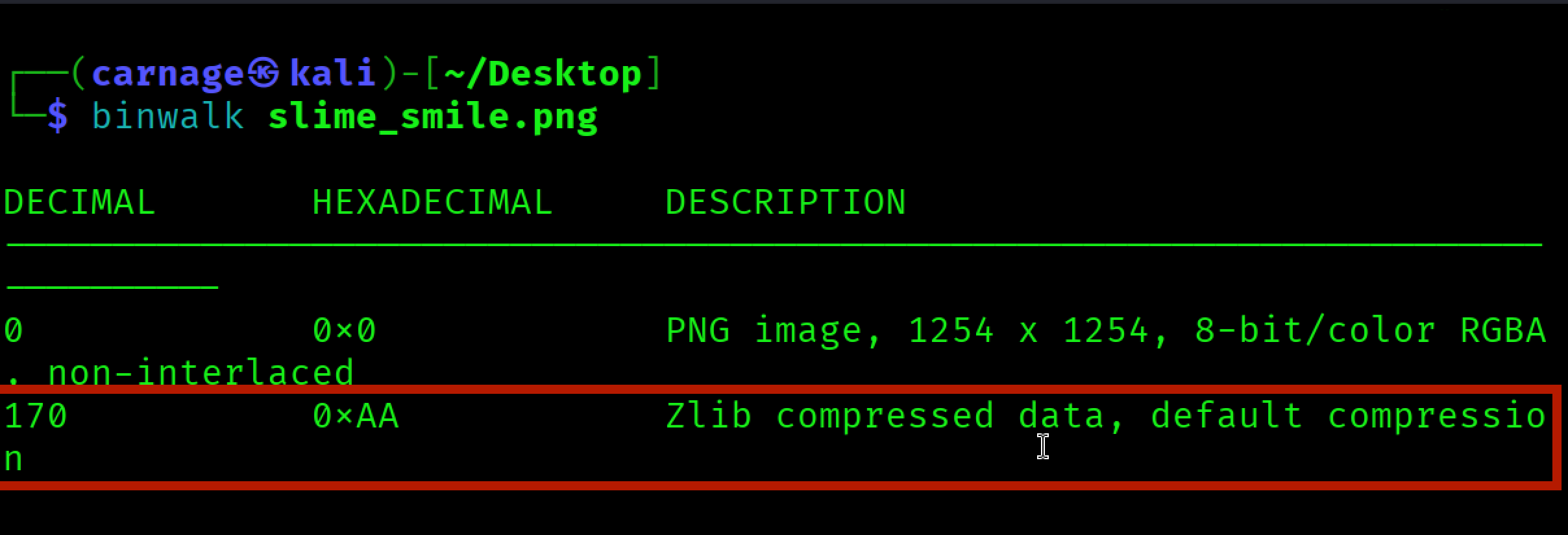 Figure 2: binwalk output for the PNG file.