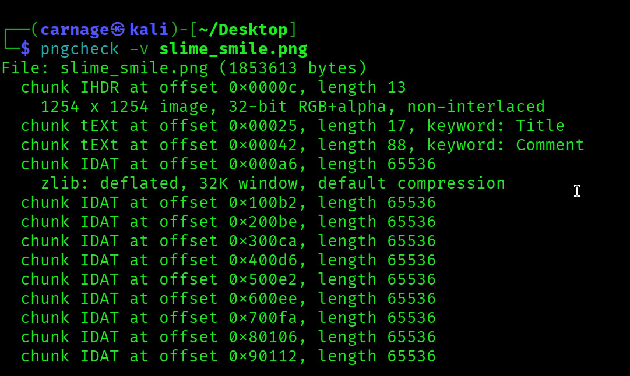 Figure 3: PNG chunk structure shown by pngcheck.