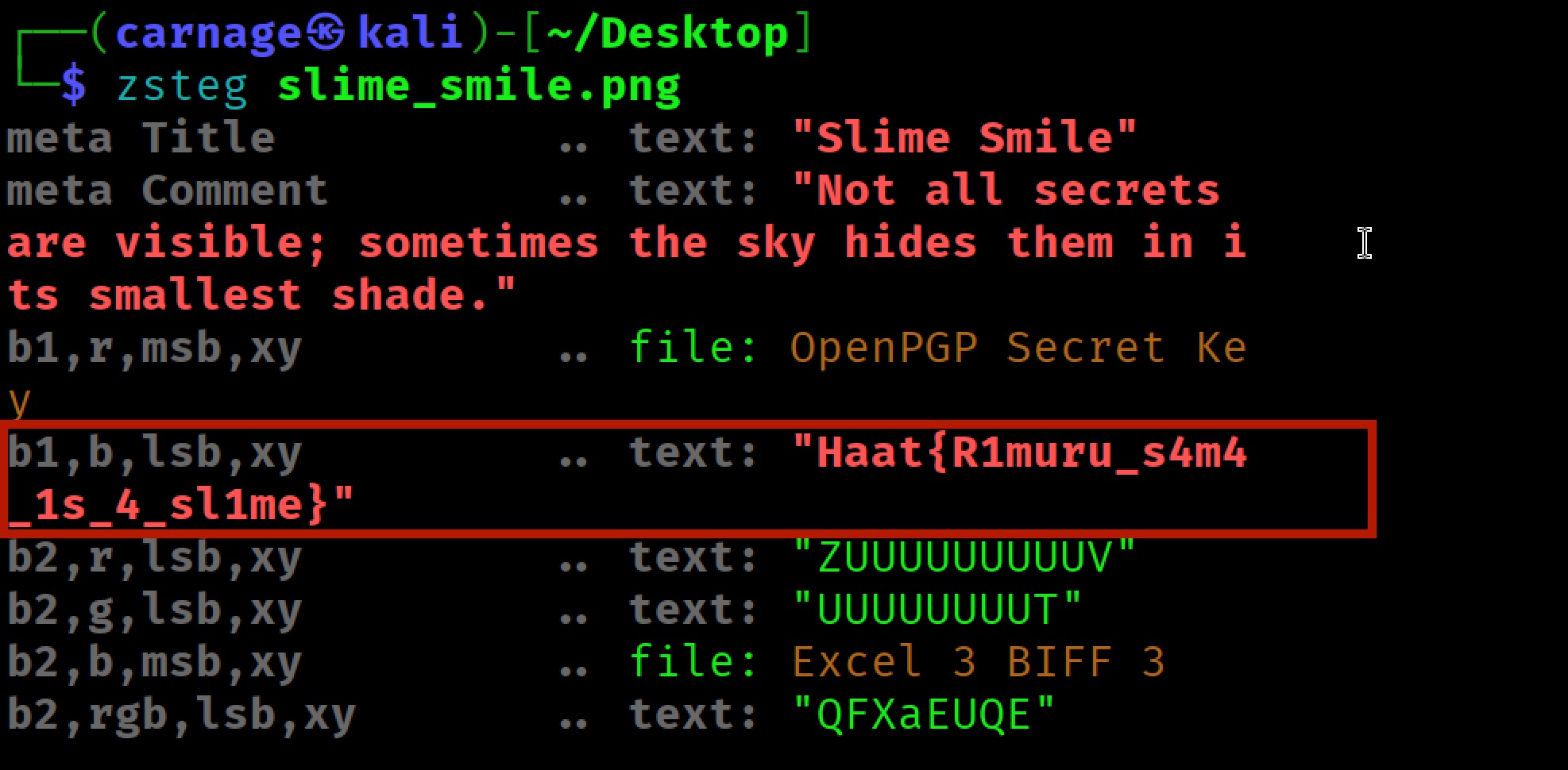Figure 4: zsteg output revealing the hidden flag.