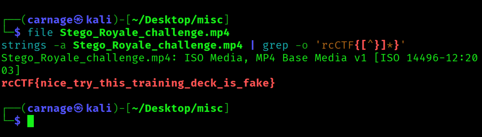 Figure 1 - Basic triage finds the fake flag in the MP4 strings output.